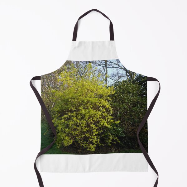 Item preview, Evergreen Bush in Early Morning Light designed and sold by BlueMoonRose.