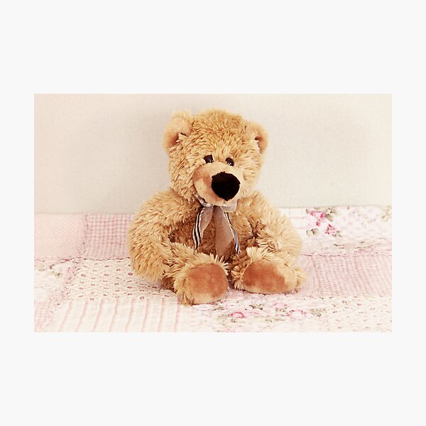 Sweet little bear Photographic Print