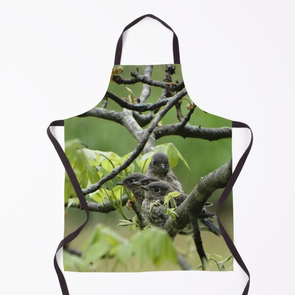 Item preview, Beautiful Baby Bluebirds! designed and sold by ALifeSavored.