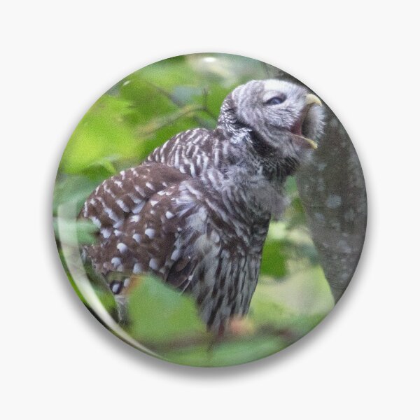 Item preview, Barred Owl Yawning designed and sold by RichImage.