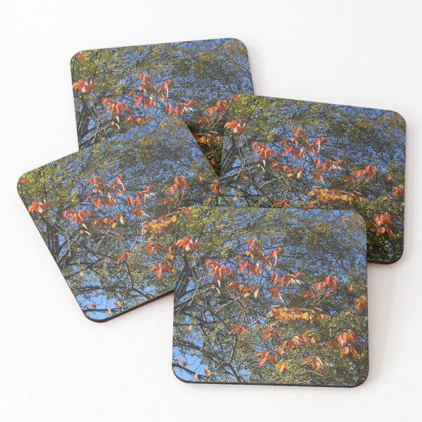 Item preview, Sunlit Autumn Leaves designed and sold by BlueMoonRose.