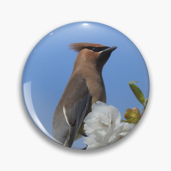 Item preview, Waxwing in flowered tree designed and sold by RichImage.