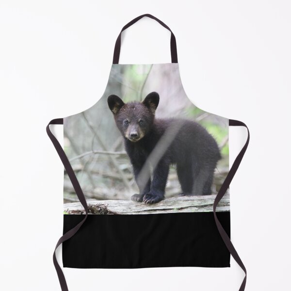 Item preview, Cute Black Bear Cub on a Log II designed and sold by Cassie Browning.