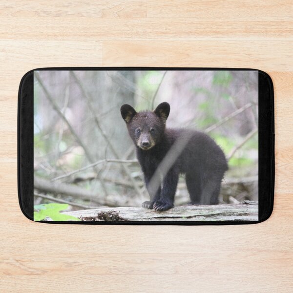 Item preview, Cute Black Bear Cub on a Log II designed and sold by Cassie Browning.