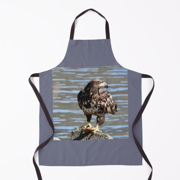 Item preview, Juvenile bald eagle designed and sold by RichImage.