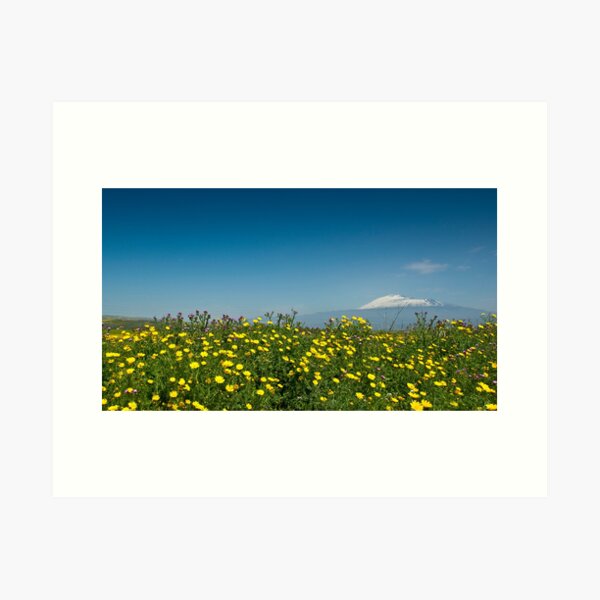 Item preview, Mt. Etna in springtime designed and sold by Andrea Rapisarda.