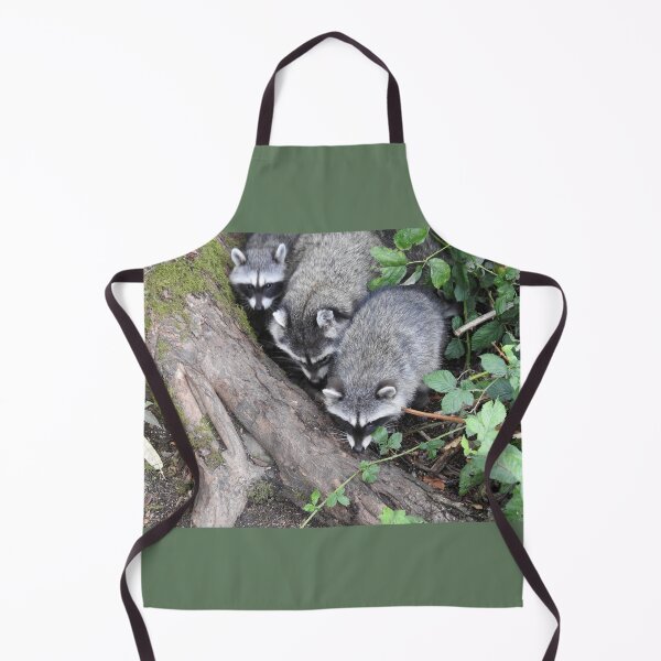 Item preview, Three little raccoons all in a row designed and sold by RichImage.