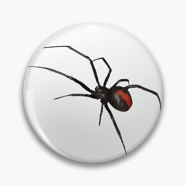 Item preview, Redback Spider designed and sold by Jayem Art.