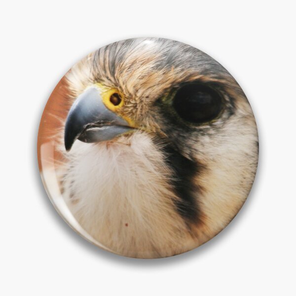 Item preview, Sparrowhawk designed and sold by RichImage.