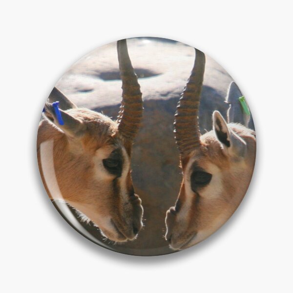 Item preview, Stare down... designed and sold by RichImage.