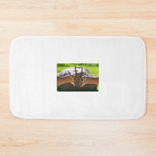 Item preview, Stare down... designed and sold by RichImage.