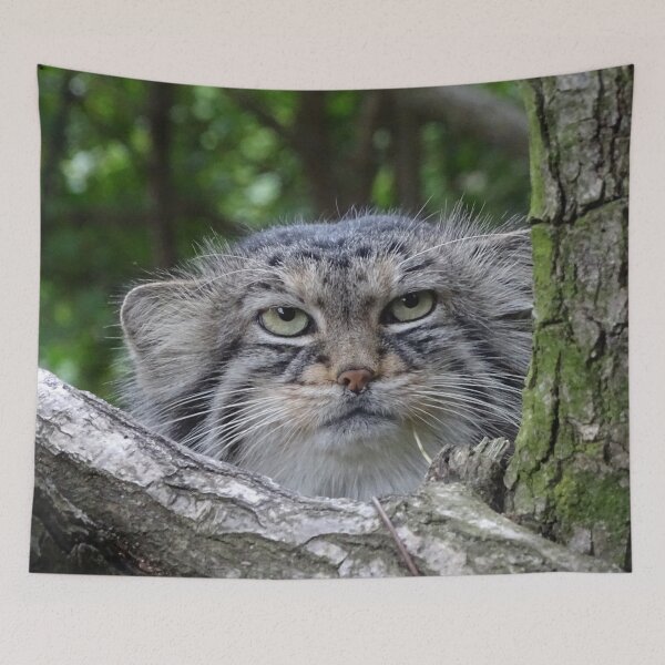 Item preview, Wild Cat designed and sold by Erika Kaisersot.