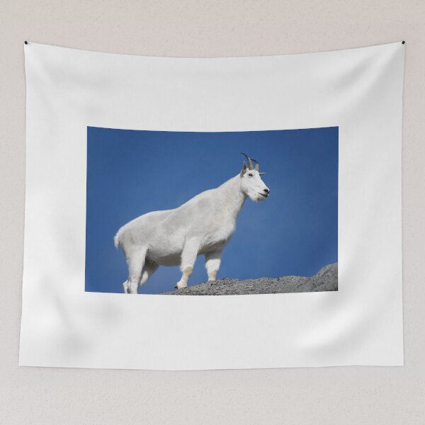 Item preview, Mountain goat (Oreamnos americanus) in Mount Rainier National Park designed and sold by SDym Photography.