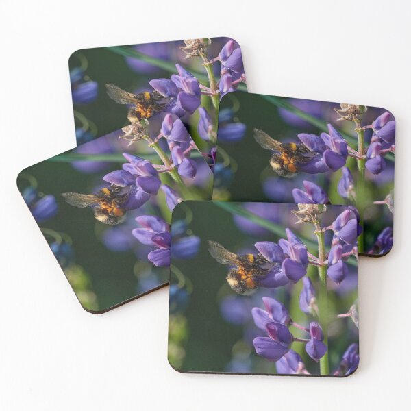 Item preview, Moving the wings in the speed of light. Bublebee and a large-leaved lupine designed and sold by Jouko Lehto Photography.