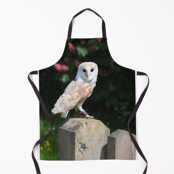 Item preview, Barn owl on a fence post designed and sold by Dalyndigital Photography.