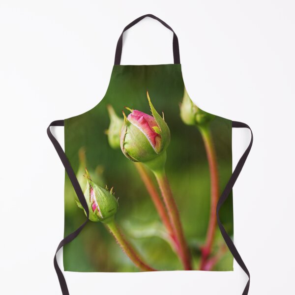 Item preview, Five Pink Rose In Buds designed and sold by Joy Watson - Natural Light Photography .