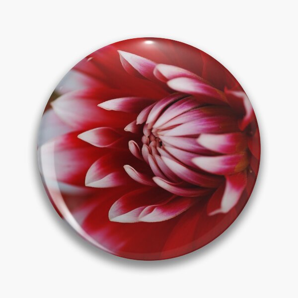 Item preview, Dahlia Bloom Rich Red and White, designed and sold by Joy Watson - Natural Light Photography .