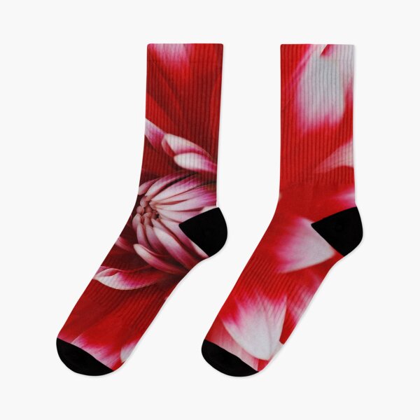 Item preview, Dahlia Bloom Rich Red and White, designed and sold by Joy Watson - Natural Light Photography .