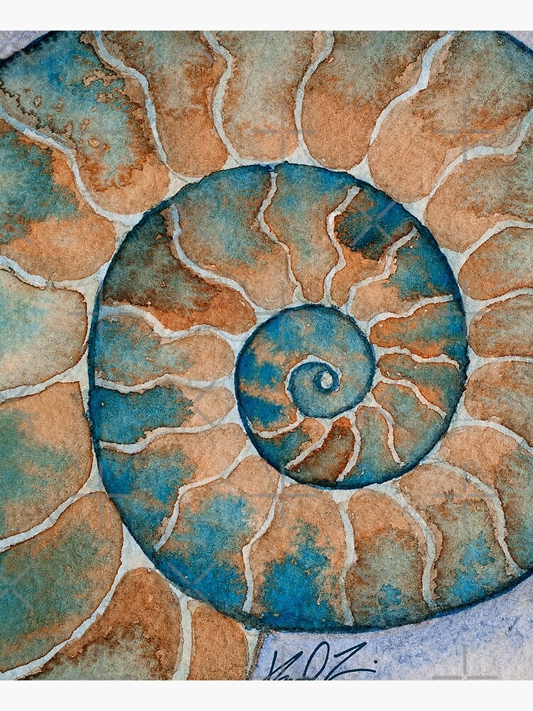 Disover Ammonite fossil watercolor painting Kitchen Apron