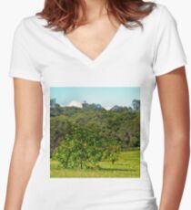Fruit tree on a rural property Women's Fitted V-Neck T-Shirt