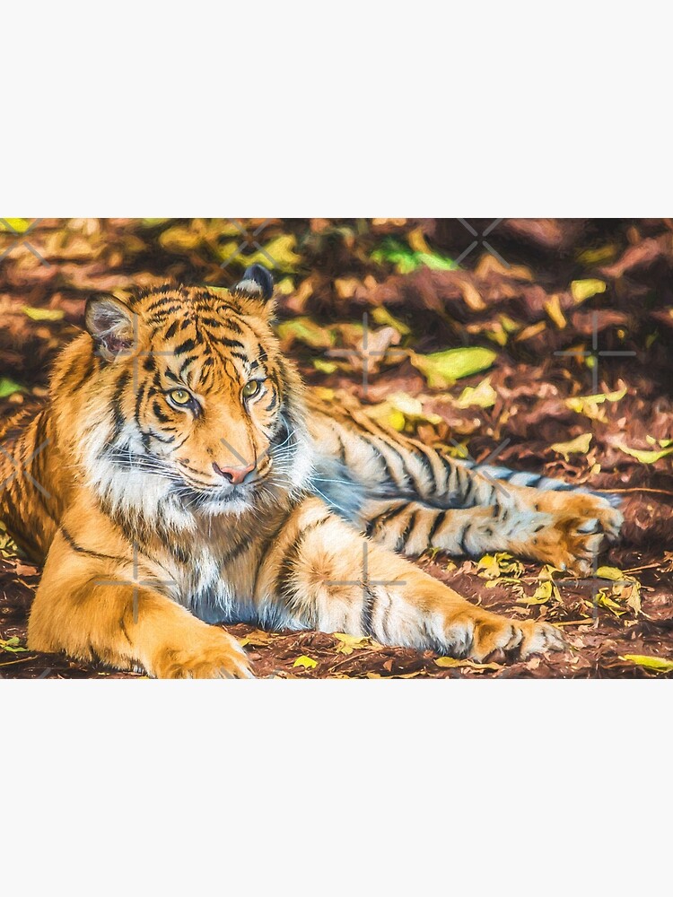 Big Cat (digital painting) by RayW