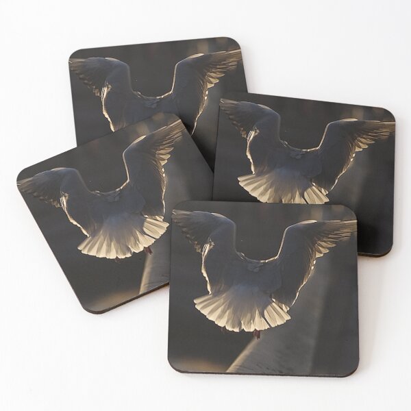 Item preview, Seagull designed and sold by Marcin Roger.