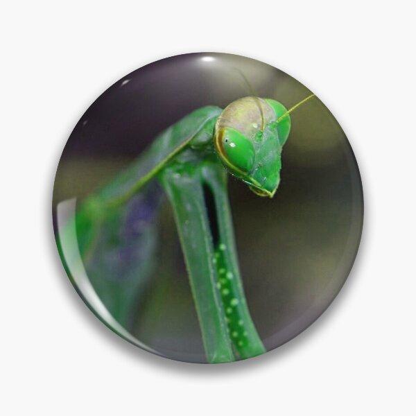Item preview, Green Mantis (MKW-I.34) designed and sold by Katrina Morgan.