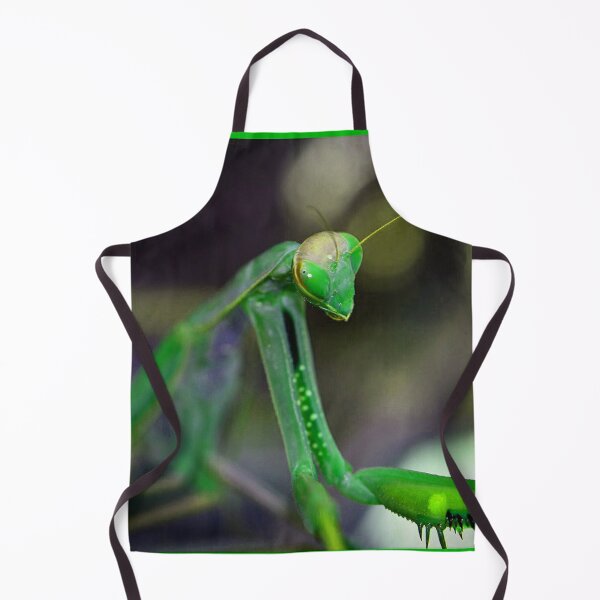 Item preview, Green Mantis (MKW-I.34) designed and sold by Katrina Morgan.