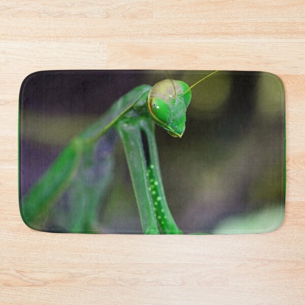 Item preview, Green Mantis (MKW-I.34) designed and sold by Katrina Morgan.
