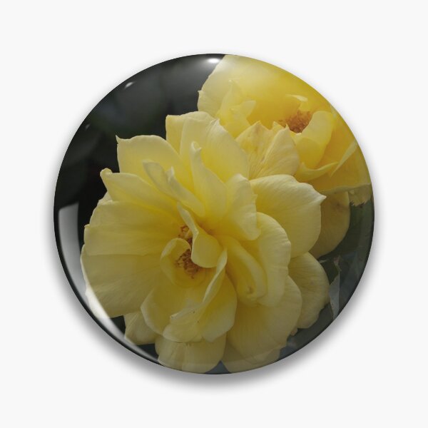 Item preview, To Someone Special Greeting card of two yellow roses. designed and sold by  Roscorla Photography.
