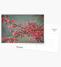 Spring blossom. Postcards