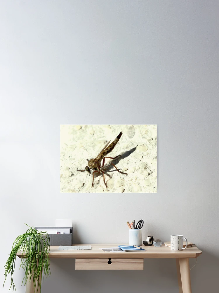 Thumbnail 2 of 3, Poster, Robber fly designed and sold by Rina Greeff.