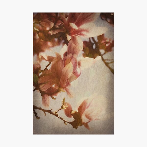Item preview, Magnolia  designed and sold by DeborahMcGrath.