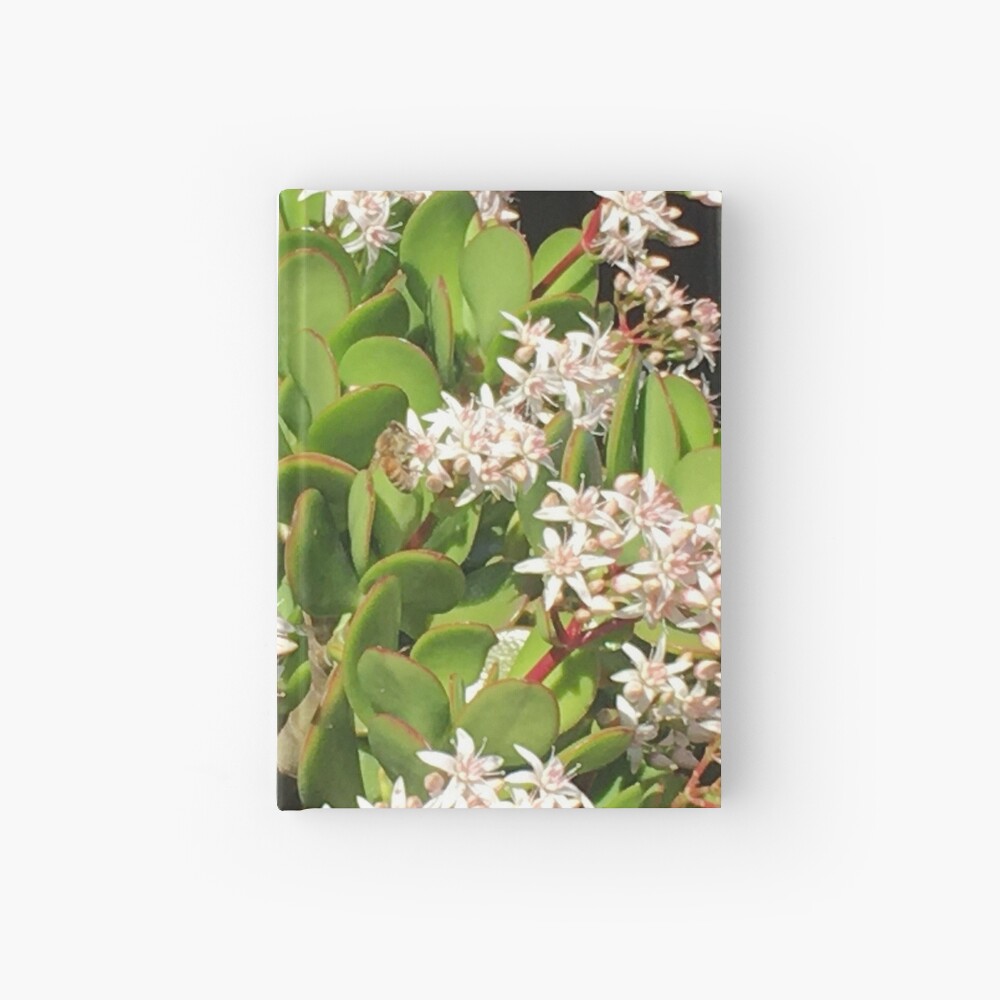 Bees Hardcover Journal