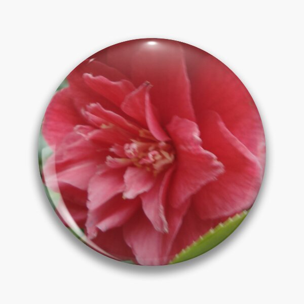 Item preview, Camellia - Tresco Abbey Gardens, Scilly Isles designed and sold by niki2028.