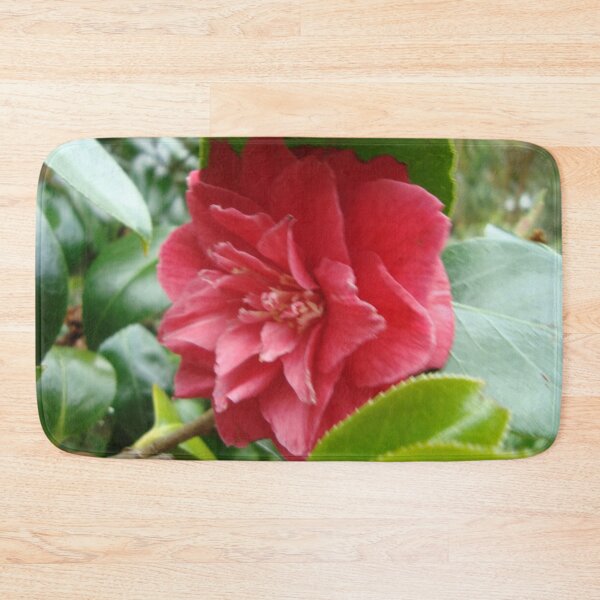 Item preview, Camellia - Tresco Abbey Gardens, Scilly Isles designed and sold by niki2028.