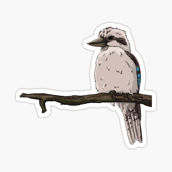 Item preview, Australian Laughing Kookaburra designed and sold by Carla Beltrá.