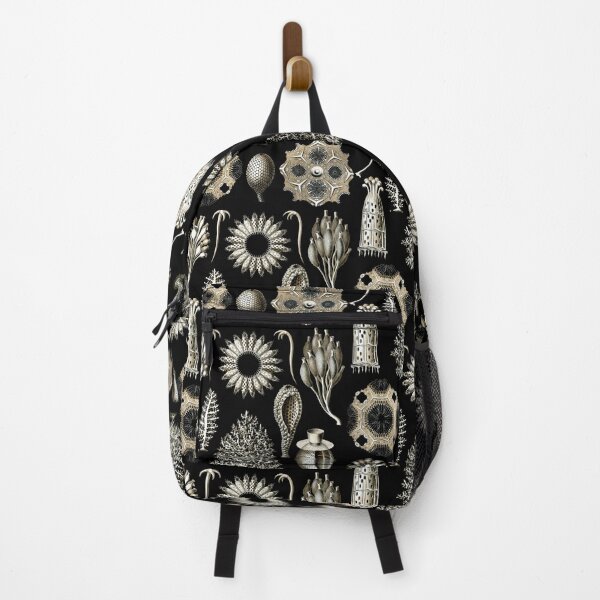 Item preview, Ernst Haeckel - Scientific Illustration - Calcispongiae designed and sold by ShaMiLaB.
