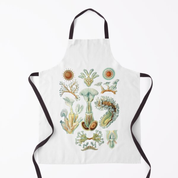 Item preview, Ernst Haeckel - Scientific Illustration - Bryozoa designed and sold by ShaMiLaB.