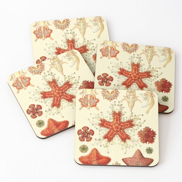 Item preview, Ernst Haeckel - Scientific Illustration - Asteroidea designed and sold by ShaMiLaB.