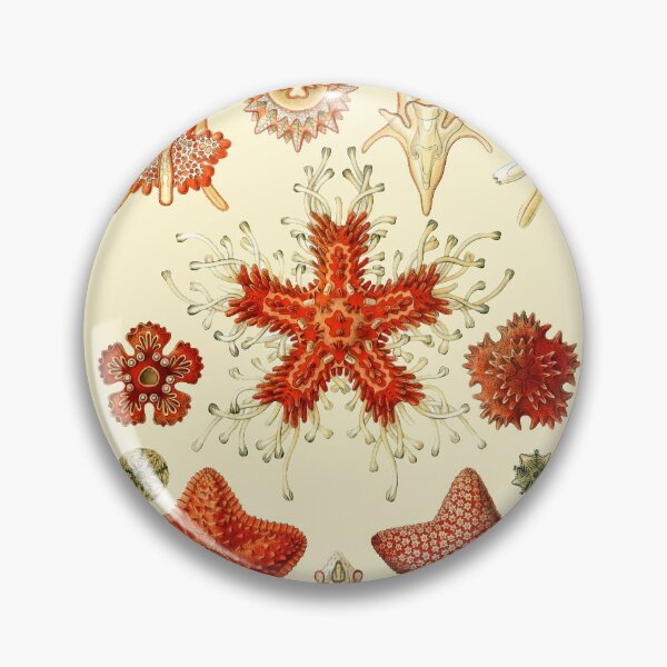 Item preview, Ernst Haeckel - Scientific Illustration - Asteroidea designed and sold by ShaMiLaB.