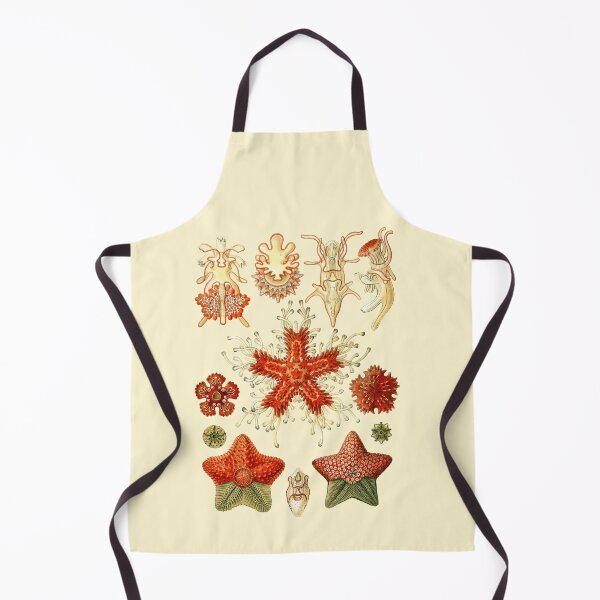 Item preview, Ernst Haeckel - Scientific Illustration - Asteroidea designed and sold by ShaMiLaB.