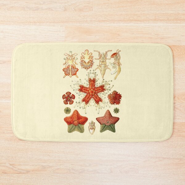 Item preview, Ernst Haeckel - Scientific Illustration - Asteroidea designed and sold by ShaMiLaB.