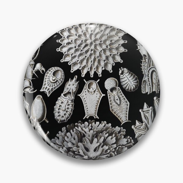 Item preview, Ernst Haeckel - Scientific Illustration - Bryozoa designed and sold by ShaMiLaB.