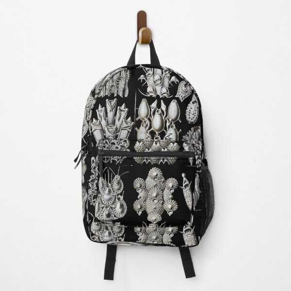 Item preview, Ernst Haeckel - Scientific Illustration - Bryozoa designed and sold by ShaMiLaB.