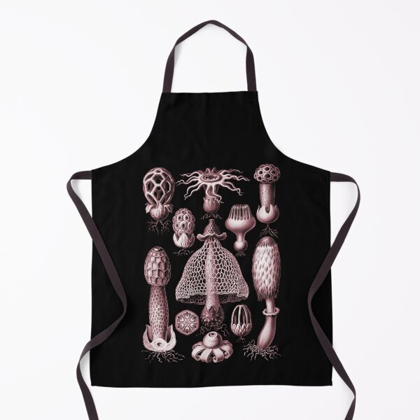 Item preview, Ernst Haeckel - Basimycetes (Mushrooms) Golden Pink designed and sold by ShaMiLaB.