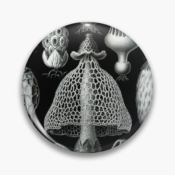Item preview, Ernst Haeckel - Basimycetes (Mushrooms) designed and sold by ShaMiLaB.
