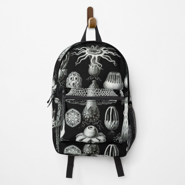 Item preview, Ernst Haeckel - Basimycetes (Mushrooms) designed and sold by ShaMiLaB.