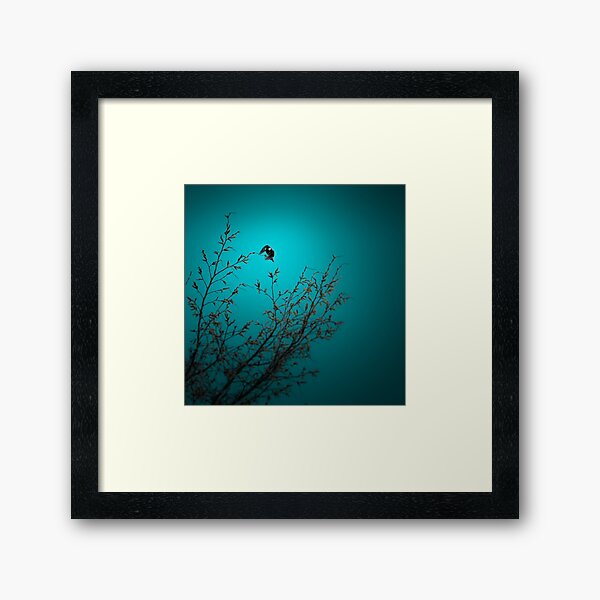 sparrow (002) Framed Art Print
