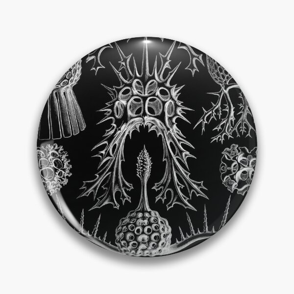 Item preview, Ernst Haeckel - Spyroidea designed and sold by ShaMiLaB.